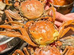 -亚马逊蒸汽活海鲜自助(LCM置汇旭辉广场店)