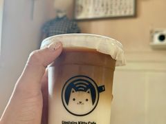 -楼上猫咖(罗湖店)