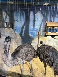 -酷嗒动物文化乐园(cutezoo西溪乐天城店)