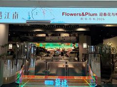 -假装苏杭·迎春花与梅(陆家嘴中心店)