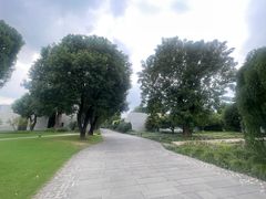 -养云安缦吧THE BAR