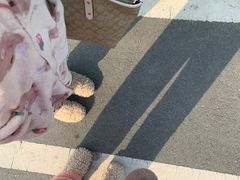 -凤翔首邑温泉度假村