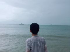 -杨梅坑