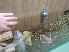 -藦茜花园宠物主题亲子互动体验馆(国顺东路店)