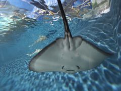 -上海海洋水族馆