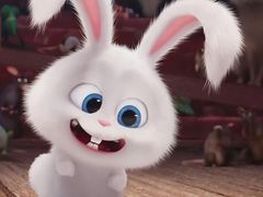 -阿姨卷饼(平凉路店)