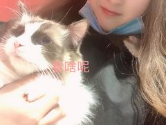 -猫色咖啡·猫咖