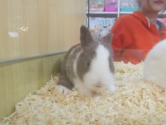 -7mall美食潮地标