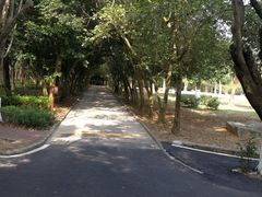 -广东茂名森林公园