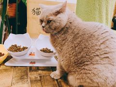 -小时光咖啡馆(北锣鼓巷店)