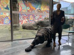 -四川美术学院美术馆