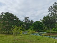 -中国科学院西双版纳热带植物园