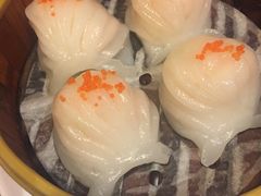 -老广酒楼(樱花店)