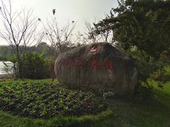 景点-鹅湖玫瑰文化园