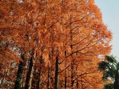 -东坡赤壁风景名胜区