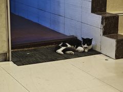 -竹园竹升面(西关总店)