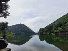 -桃花岭景区
