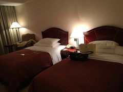 -成都天府丽都喜来登饭店