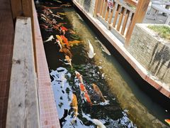 -侠成水上农庄(工业大道店)