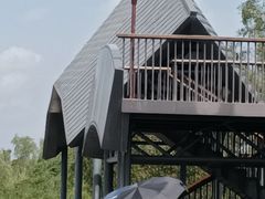 -东寨港红树林旅游区