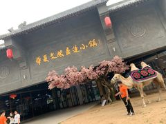 -华夏文旅海洋公园