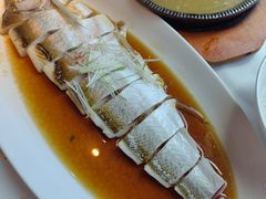 -凤凰湘语(浦东旗舰店)