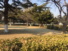 -大连人民广场