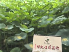 -莲池书院博物馆