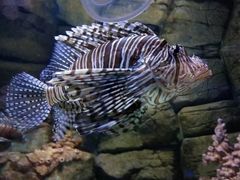 -成都浩海立方海洋公园