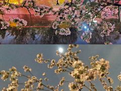 -海棠花溪(元大都城垣遗址公园)