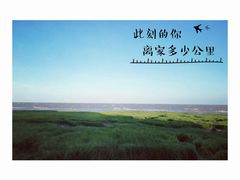 -南汇嘴观海公园