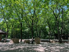 -沈阳市东陵公园
