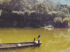 -深圳仙湖植物园