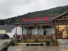 -呼吸森林·生态农庄农家乐私房菜