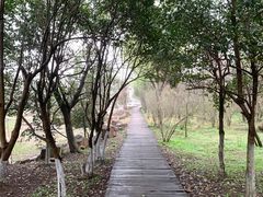 -大蜀山国家森林公园