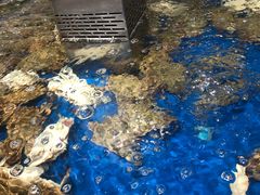 -盒马鲜生(莱蒙都会店)