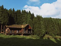 -武陵山森林公园