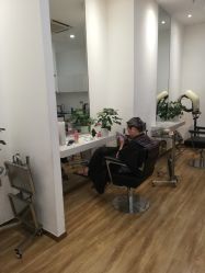 -YESIDO椰岛造型