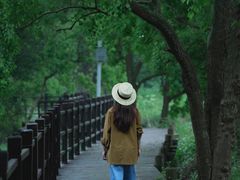 -会仙湿地