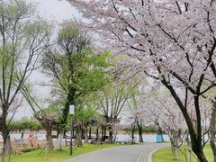 -尚湖风景区