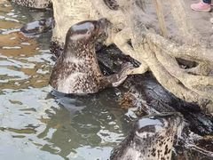 -华夏文旅海洋公园