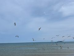 -那香海钻石沙滩浴场
