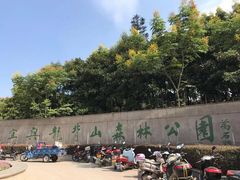 -宜兴龙背山森林公园