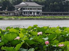 -荔湾湖公园