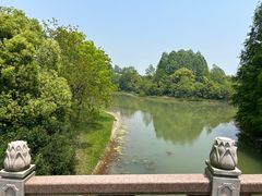 -上海海湾国家森林公园