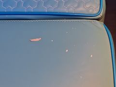 -萧邦音乐会所KTV·蒸汽活海鲜自助(福田店)