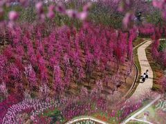 -常德桃花源景区