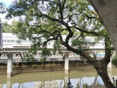 -广东胜利宾馆西关粤中餐厅