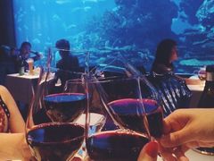 -迪拜帆船酒店海底餐厅