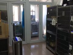 -北京观赏动物医院·24小时大型综合·猫专科·异宠专科